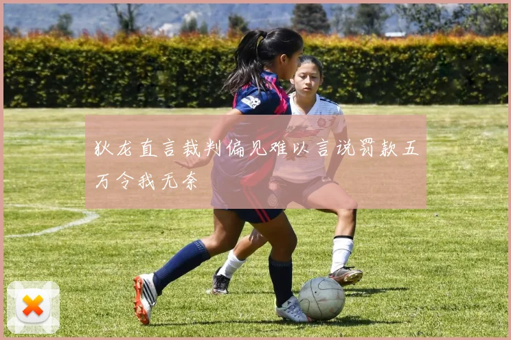 狄龙直言裁判偏见难以言说罚款五万令我无奈
