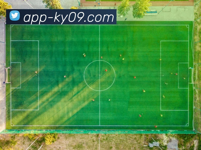 App 示例图